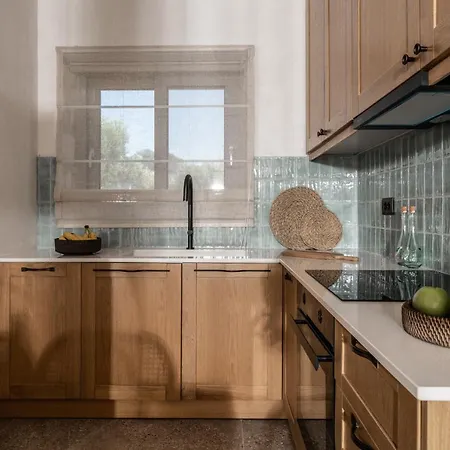 וילה Bedrock Beachside With Private Pool Vasilikí